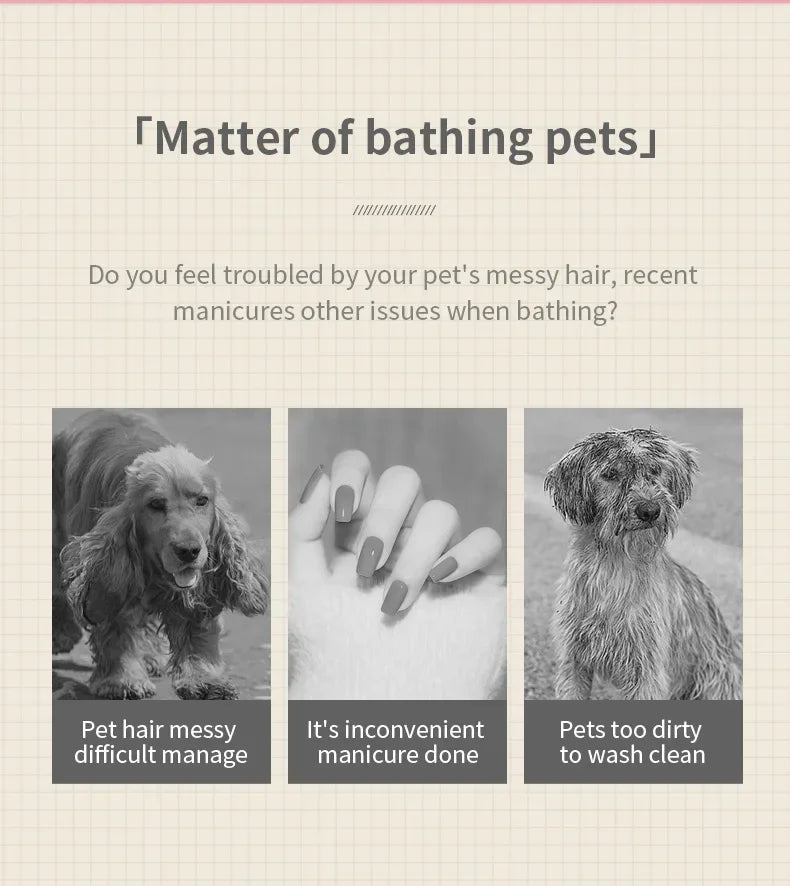 3-in-1 Steam Pet Grooming Brush for Dogs & Cats